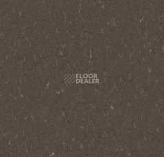 Линолеум Forbo Marmoleum Solid Piano 3632- 363235 sealion фото 1 | FLOORDEALER